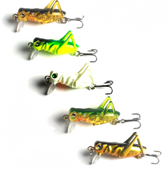 Realistic Cricket and Grasshopper Fishing Lures