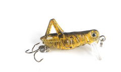 Realistic Cricket and Grasshopper Fishing Lures